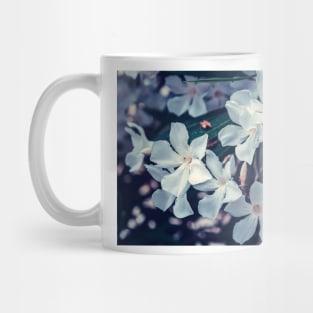 White Nerium oleander flowers Mug